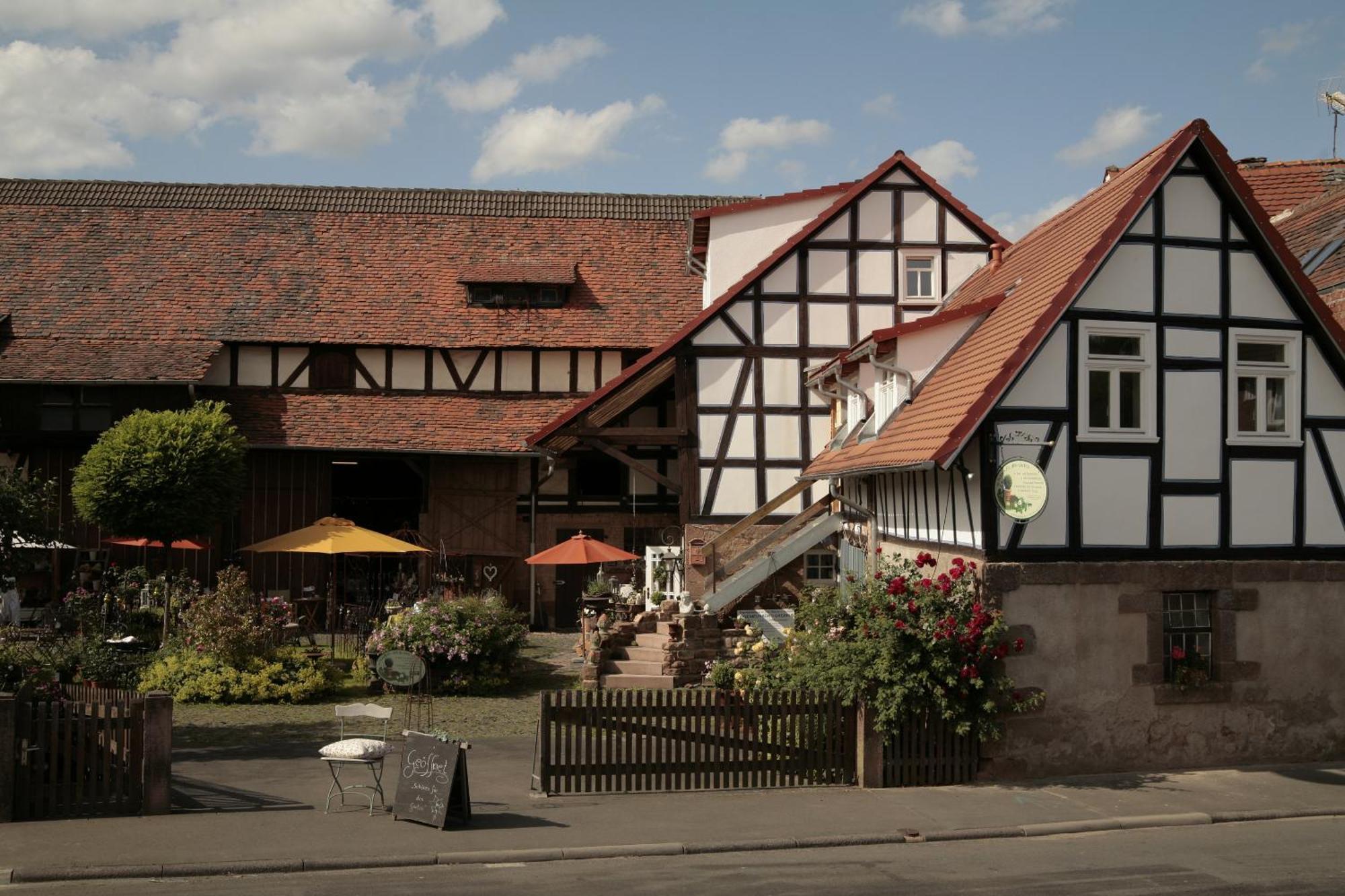 Werts Hof Ferienwohnen Villa Rauschenberg Exterior photo
